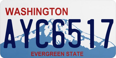 WA license plate AYC6517