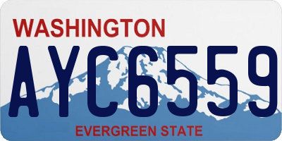 WA license plate AYC6559