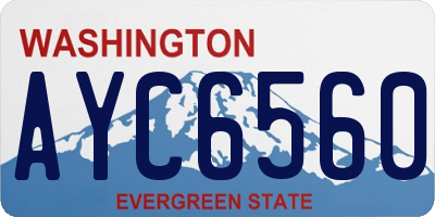 WA license plate AYC6560