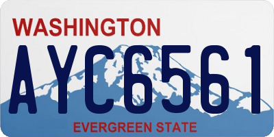 WA license plate AYC6561