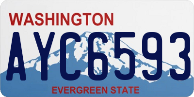 WA license plate AYC6593