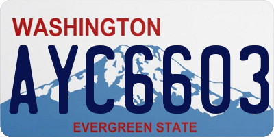 WA license plate AYC6603