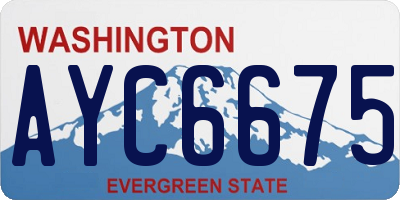 WA license plate AYC6675