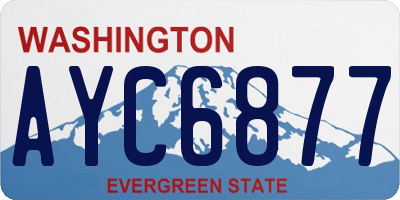 WA license plate AYC6877