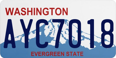 WA license plate AYC7018