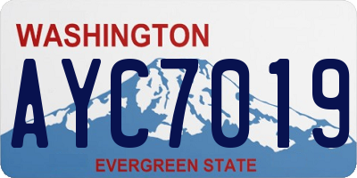 WA license plate AYC7019