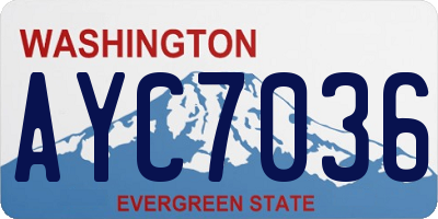 WA license plate AYC7036