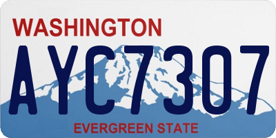 WA license plate AYC7307