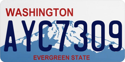 WA license plate AYC7309