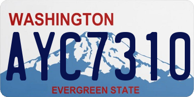 WA license plate AYC7310