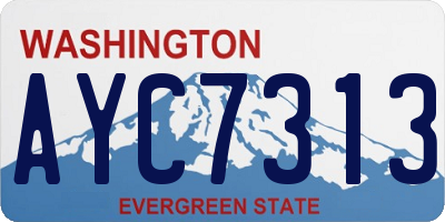 WA license plate AYC7313