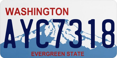 WA license plate AYC7318