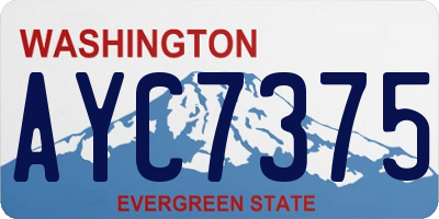WA license plate AYC7375