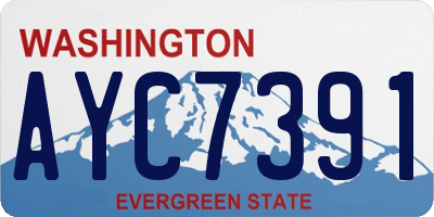 WA license plate AYC7391