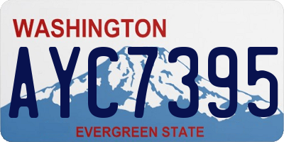 WA license plate AYC7395