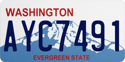 WA license plate AYC7491