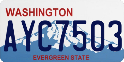 WA license plate AYC7503