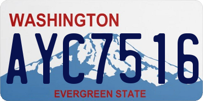 WA license plate AYC7516