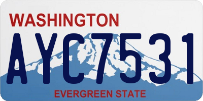 WA license plate AYC7531