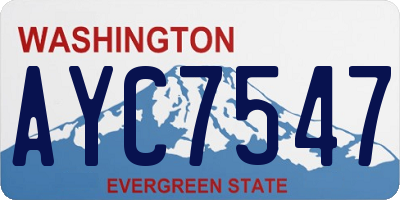 WA license plate AYC7547