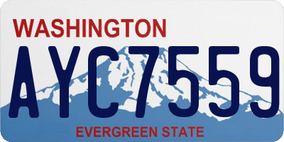WA license plate AYC7559