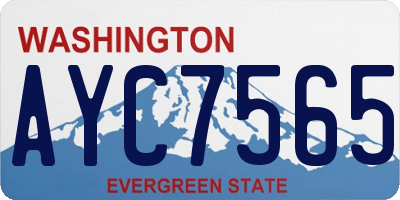 WA license plate AYC7565