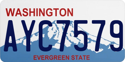 WA license plate AYC7579