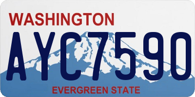 WA license plate AYC7590