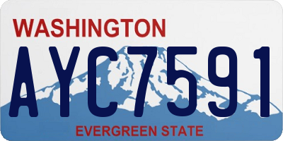WA license plate AYC7591