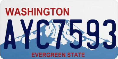 WA license plate AYC7593