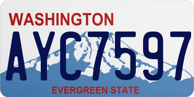 WA license plate AYC7597