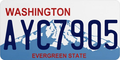 WA license plate AYC7905
