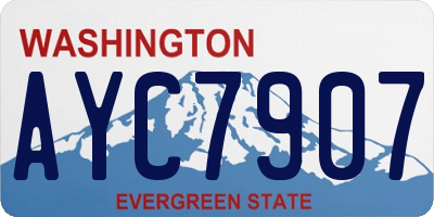 WA license plate AYC7907