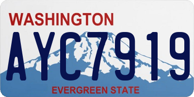 WA license plate AYC7919