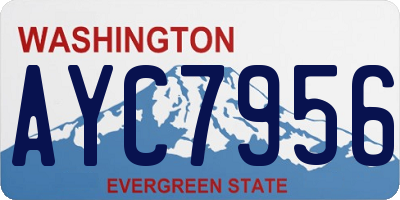 WA license plate AYC7956