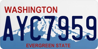 WA license plate AYC7959