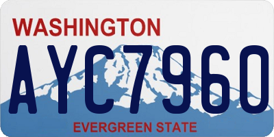 WA license plate AYC7960