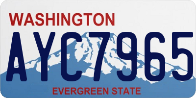 WA license plate AYC7965