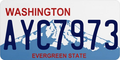 WA license plate AYC7973