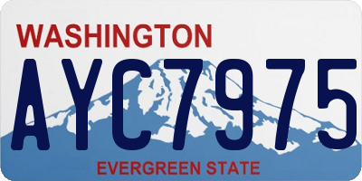 WA license plate AYC7975