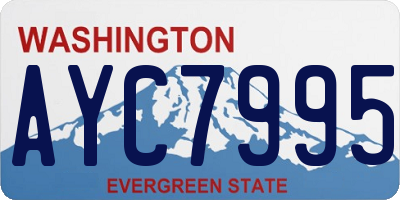 WA license plate AYC7995