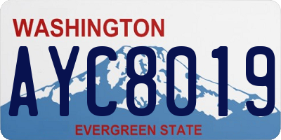 WA license plate AYC8019