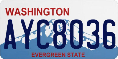 WA license plate AYC8036
