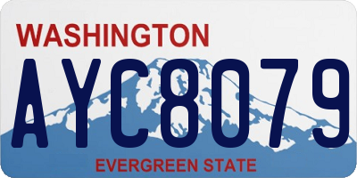 WA license plate AYC8079