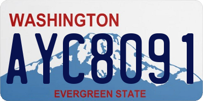 WA license plate AYC8091