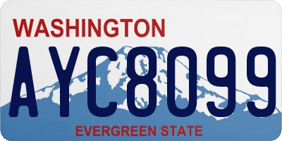 WA license plate AYC8099