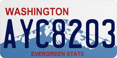 WA license plate AYC8203
