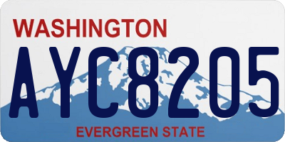 WA license plate AYC8205
