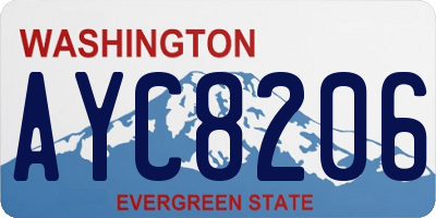 WA license plate AYC8206