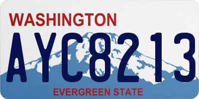 WA license plate AYC8213